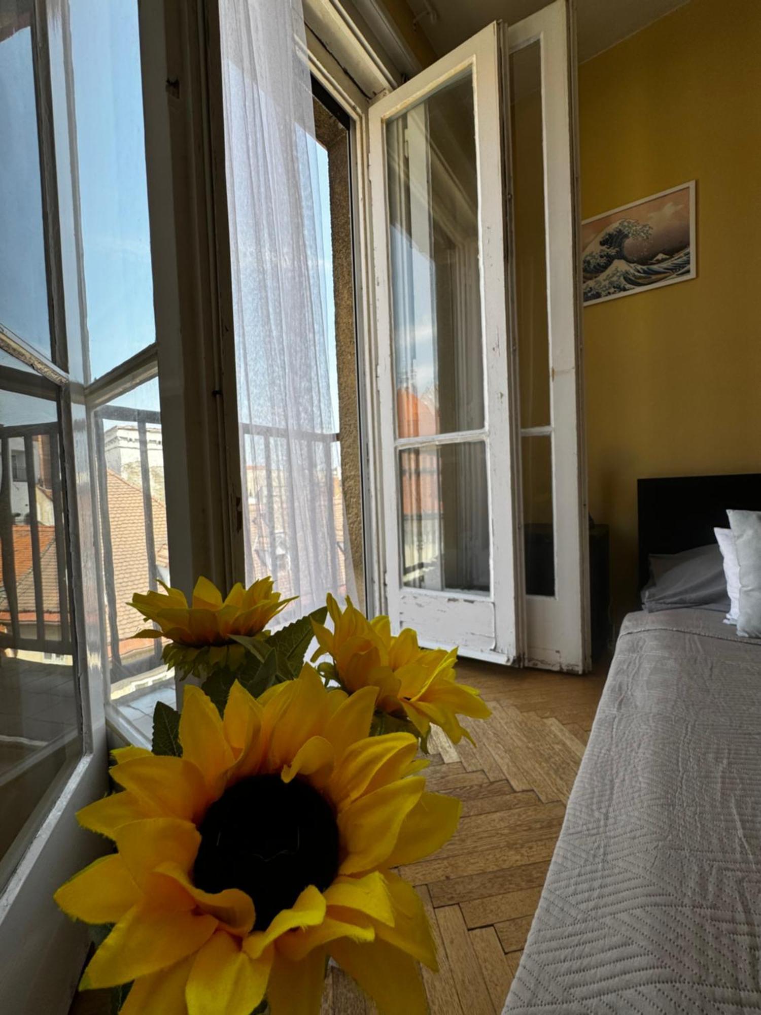 Extralarge Queen Room In The Heart Of Bratislava With Terrace Екстер'єр фото