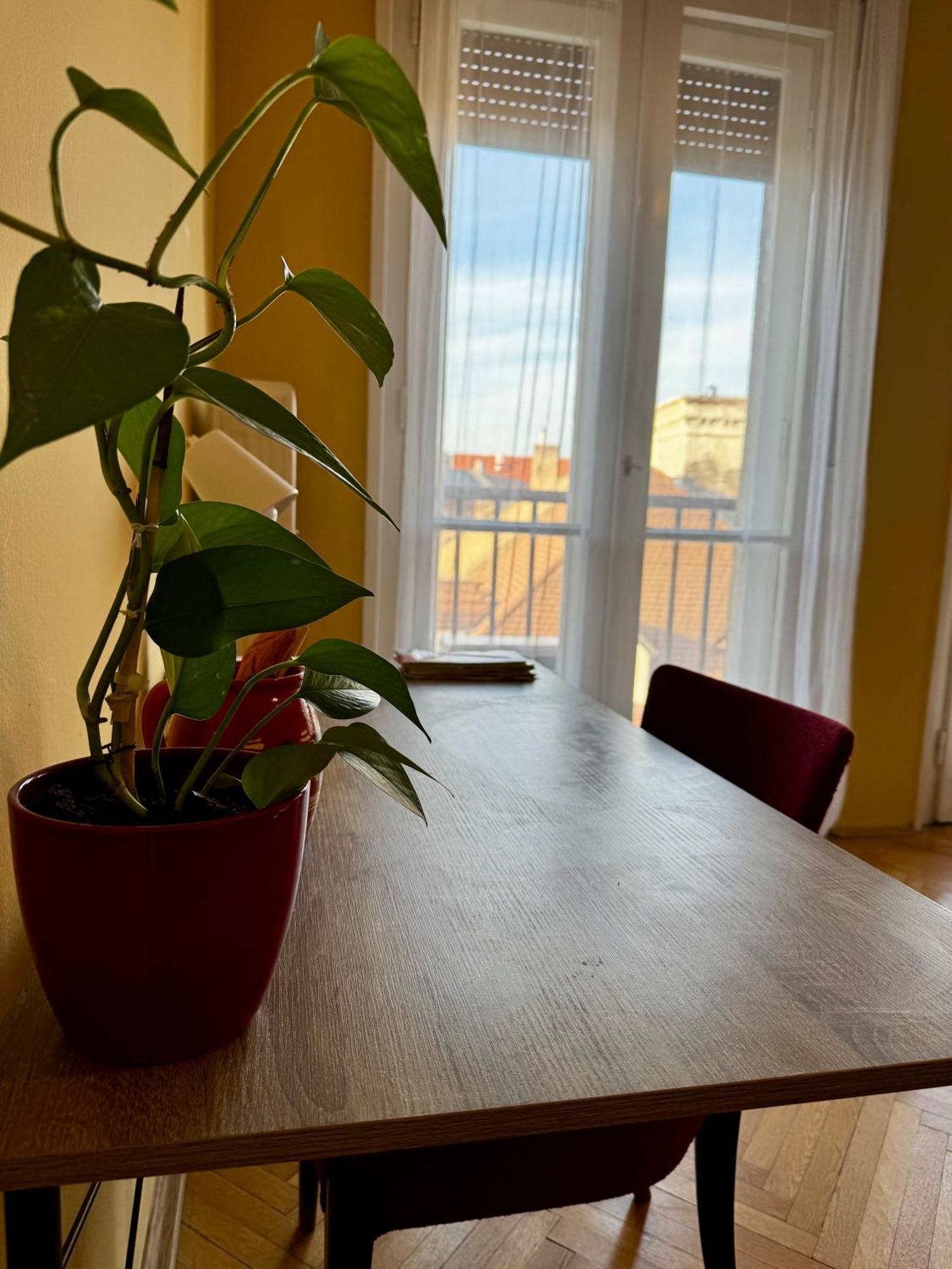 Extralarge Queen Room In The Heart Of Bratislava With Terrace Екстер'єр фото